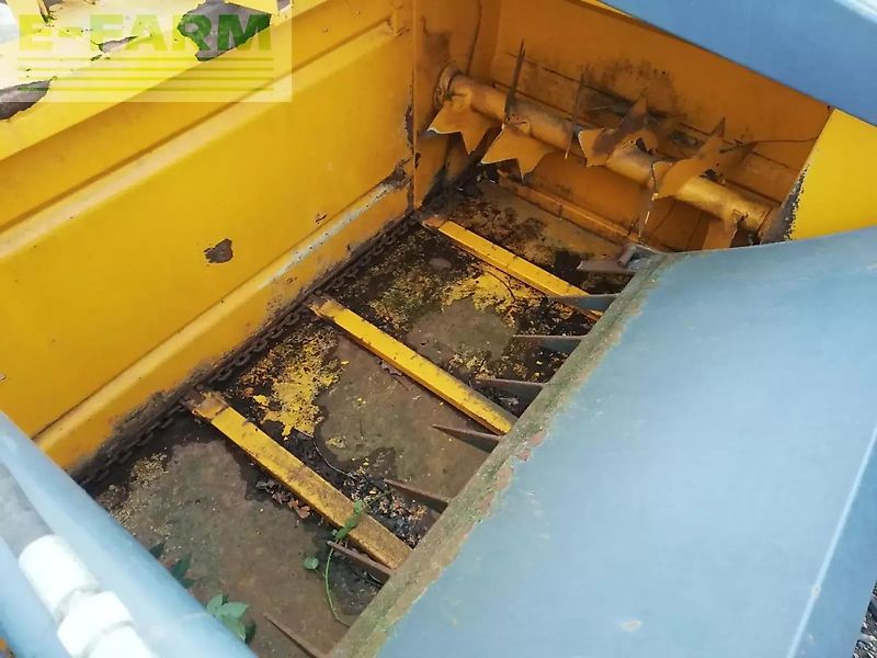 Lucas silogrif 2001 m