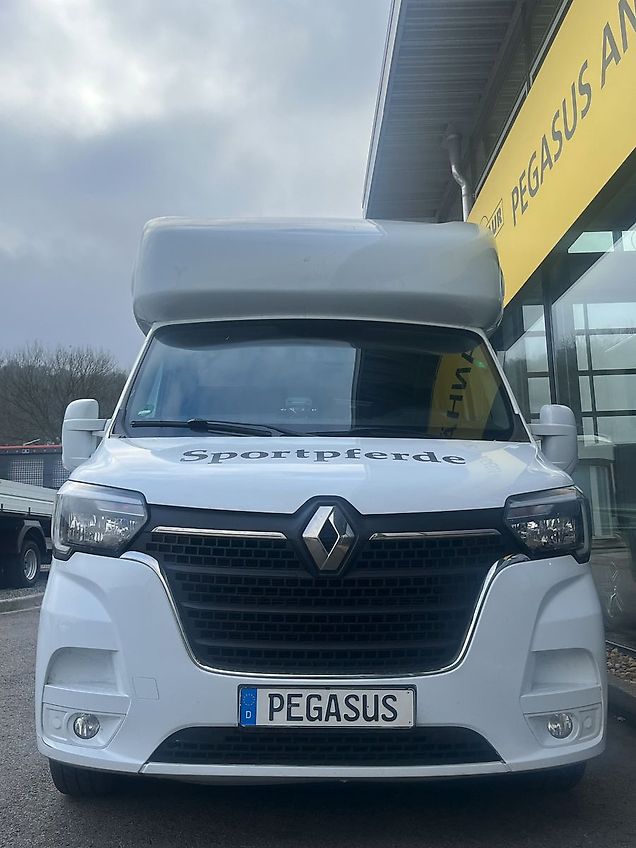 Renault Master 2 Pferdetransporter 4-Sitzer 1.Hand TOP