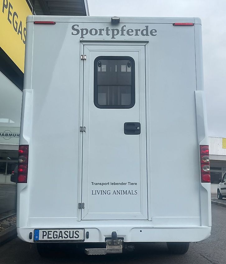 Renault Master 2 Pferdetransporter 4-Sitzer 1.Hand TOP