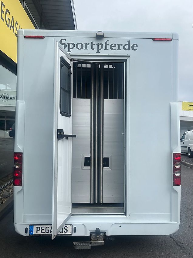 Renault Master 2 Pferdetransporter 4-Sitzer 1.Hand TOP