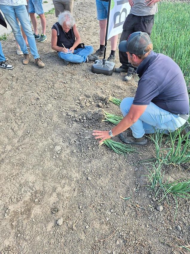 Koeckhoven Moreni Eksi bed former vormer