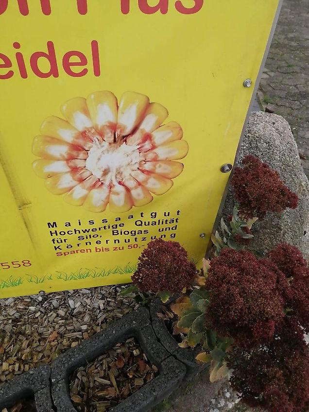 Krone 6 Schariger Drehpflug 6 Schar Schwenkpflug Allround R/L140 Non Stop Krone Wendepflug mit 265cm Arbeitsbreite Gewicht 1350kg Kein Howard Schenkpflug Lemken Rodonit 5 Scharig