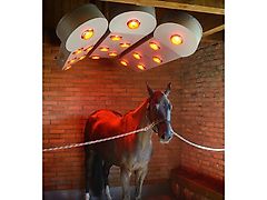 MD BM Pferdesolarium SOLAR-TEC1