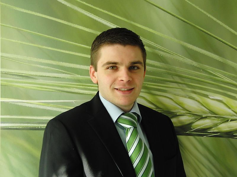 Temas kurun Bay Hermann Bangert