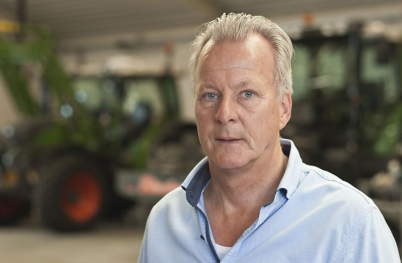 Temas kurun Bay Wilco Hoftijzer